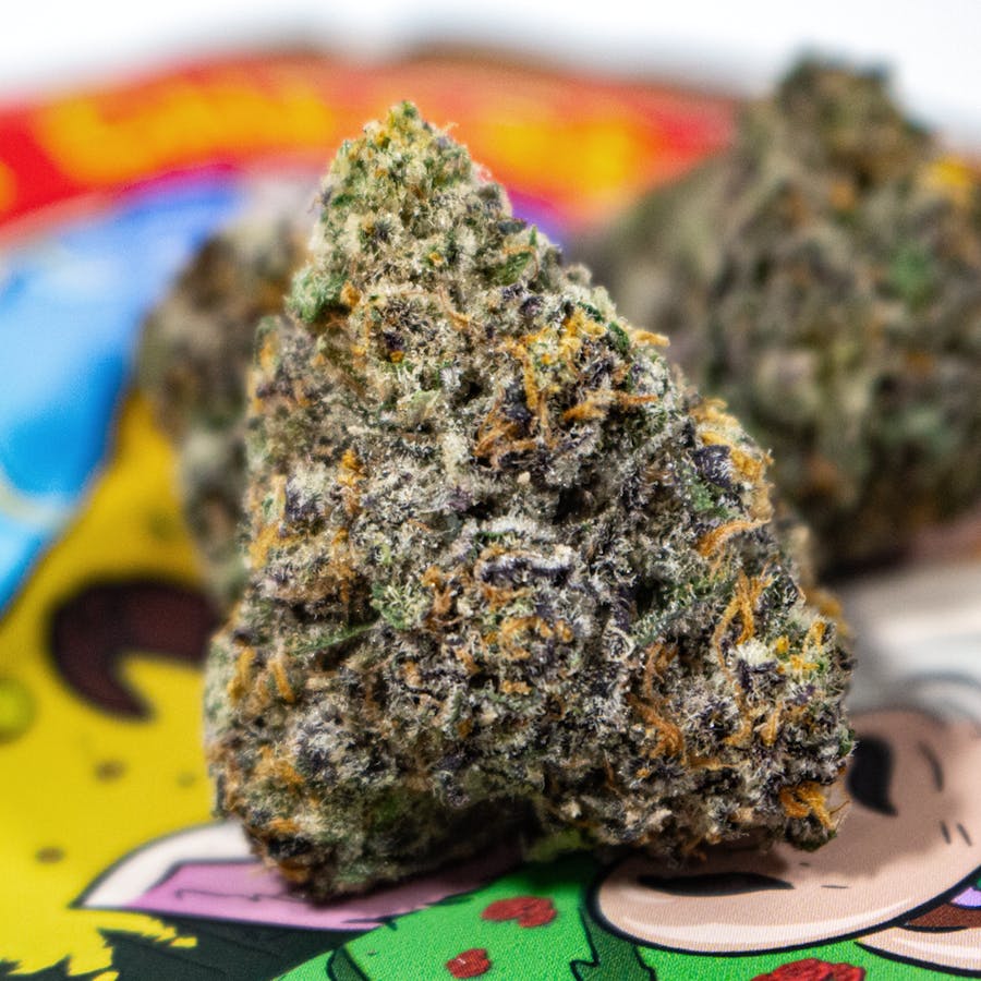 are backpack boyz good